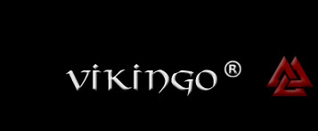 About Vikingo 